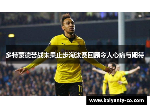 多特蒙德苦战未果止步淘汰赛回顾令人心痛与期待
