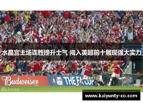 水晶宫主场连胜提升士气 闯入英超前十展现强大实力