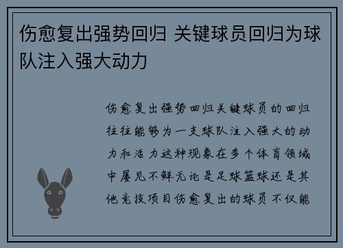 伤愈复出强势回归 关键球员回归为球队注入强大动力