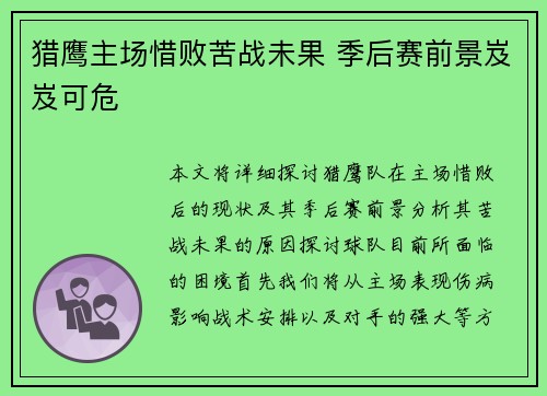 猎鹰主场惜败苦战未果 季后赛前景岌岌可危